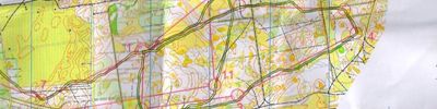 Orienteering map - Чемпионат г. Дзержинск