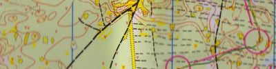 Orienteering map - Чемпионат Нижегородской области. 2 круг