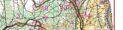 Orienteering map - ЧиП Москвы, классика