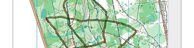Orienteering map - Открытое первенство Ивановское