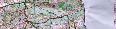 Orienteering map - Длинная, приз Пастухова