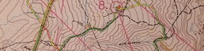 Orienteering map - длинная