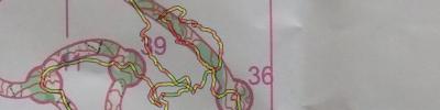 Orienteering map - коридор