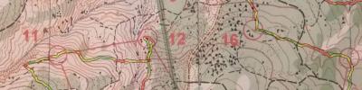 Orienteering map - классика