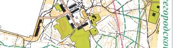 Orienteering map - Чемпионат Области Общий старт