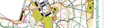 Orienteering map - Чемпионат области общий старт часть 2