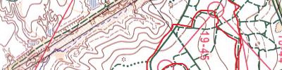 Orienteering map - Чемпионат Области 19 января часть 2