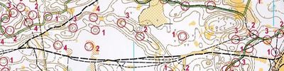 Orienteering map - Чемпионат Нижегородской области. Маркированная трасса.