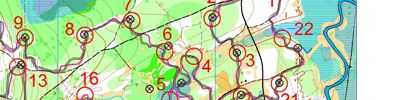 Orienteering map - Типа готовимся к Иваново :)