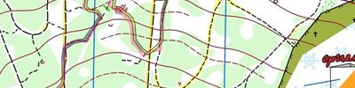 Orienteering map - Кубок Водокачки 2014 зима Маркировка на Весенней