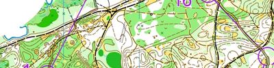 Orienteering map - Дубравушка