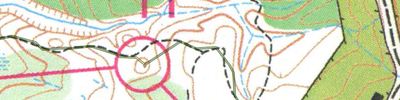 Orienteering map - Тренировочный старт