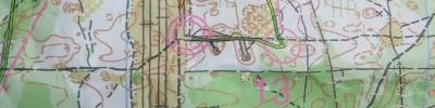 Orienteering map - Чемпионат области