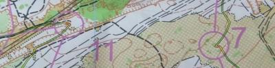 Orienteering map - Чемпионат области