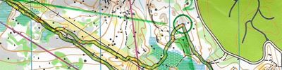 Orienteering map - Золотая осень в Выборге 