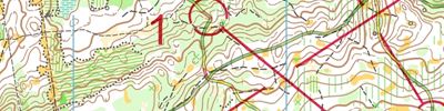 Orienteering map - Марафон памяти Н.Г. Баранчикова