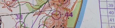 Orienteering map - Фестиваль ориентирования
