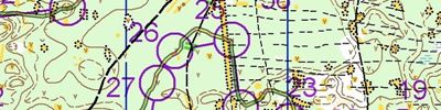 Orienteering map - foot-o, тренировка в сосновом бору, control picking