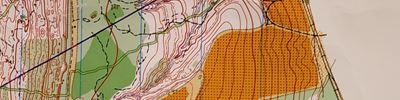 Orienteering map - Чемпионат России