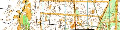 Orienteering map - тренировка на Пчёлке