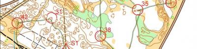 Orienteering map - Чемпионат Херсонской области