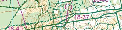 Orienteering map - Ориентатлон 2022 2 день