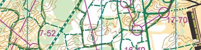 Orienteering map - Дзержинск ориентатлон 3й день