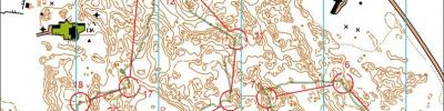 Orienteering map - ночная рельефка