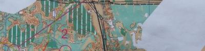 Orienteering map - деревья и дистанция