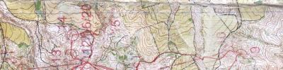 Orienteering map - Russian Cup, (qualifying starts)