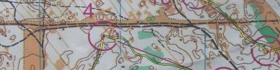 Orienteering map - Кубок Олешшя