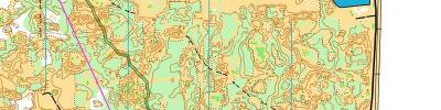Orienteering map - Финал сбора
