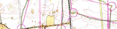 Orienteering map - тренировка