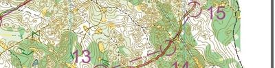 Карта спортивного ориентирования - foot-o, Pine Brawl