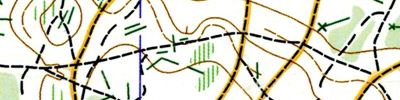 Orienteering map - Гонки четырех