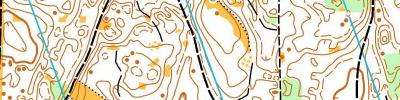 Orienteering map - Чемпионат Черкасской области (кубок)