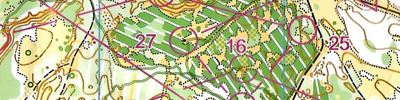 Orienteering map - Чемпионат и Первенство Ярославской области