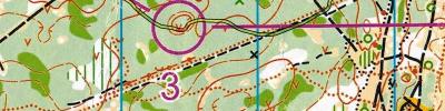 Orienteering map - Тренировочный старт