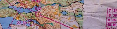 Orienteering map - ЧИП ЦФО 