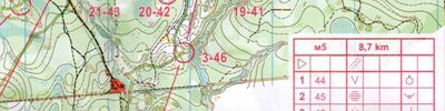 Orienteering map - Личный чемпионат Нижегородской области
