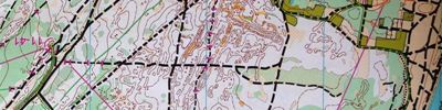 Orienteering map - MTBO чип Рязани классика ч.2