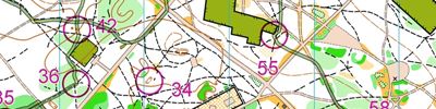 Orienteering map - Снежная тропа 2023 Парк "Сосновка"