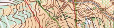 Orienteering map - Чемпионат России. 