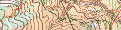 Orienteering map - Чемпионат России. 