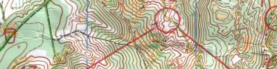 Orienteering map - Чемпионат России. 