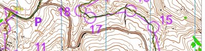 Orienteering map - Contours only