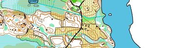 Orienteering map - SM natt guld