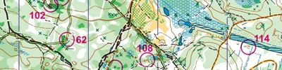 Orienteering map - МК 2024 День 2