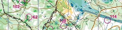 Orienteering map - МК2024 День 2