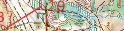 Orienteering map - Чемпионат Ивановской области